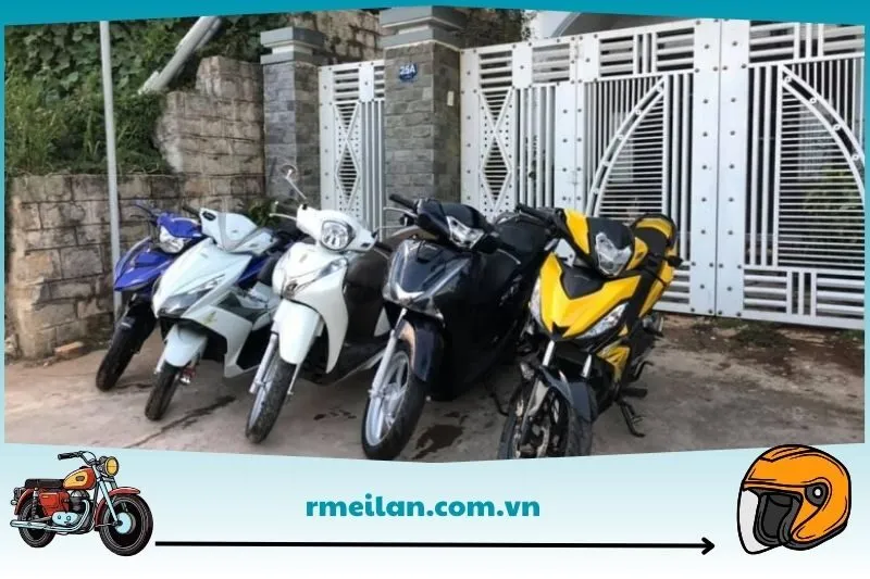 Cửa hàng Thanh Hồng (Thuê xe máy và ô tô du lịch)