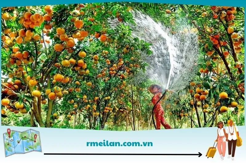 Vườn trái cây Út Phương