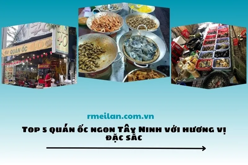 Top 5 quán ốc ngon Tây Ninh với hương vị đặc sắc
