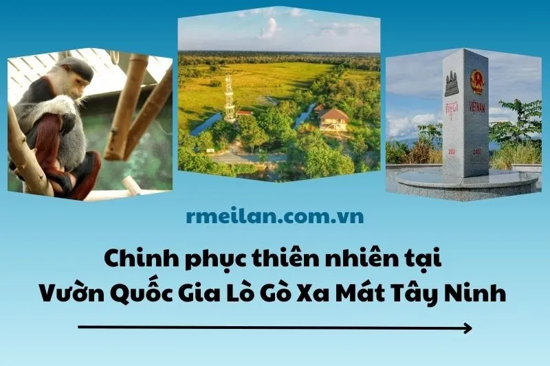 Chinh phục thiên nhiên tại Vườn Quốc Gia Lò Gò Xa Mát Tây Ninh 2025