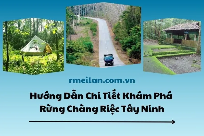 Hướng Dẫn Chi Tiết Khám Phá Rừng Chàng Riệc Tây Ninh 2025
