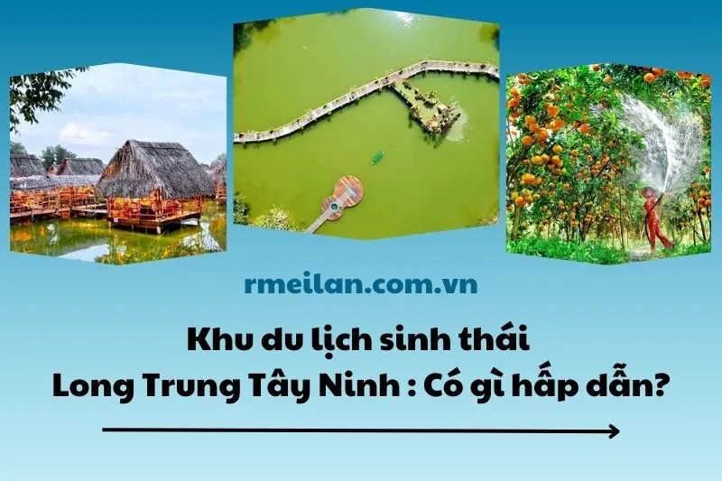 Khu du lịch sinh thái Long Trung Tây Ninh 2025: Có gì hấp dẫn?