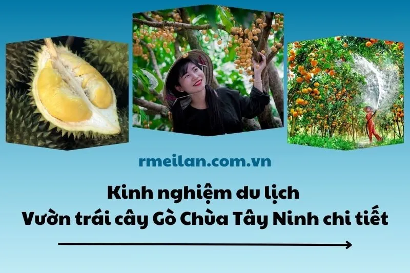 Kinh nghiệm du lịch Vườn trái cây Gò Chùa Tây Ninh chi tiết nhất 2025